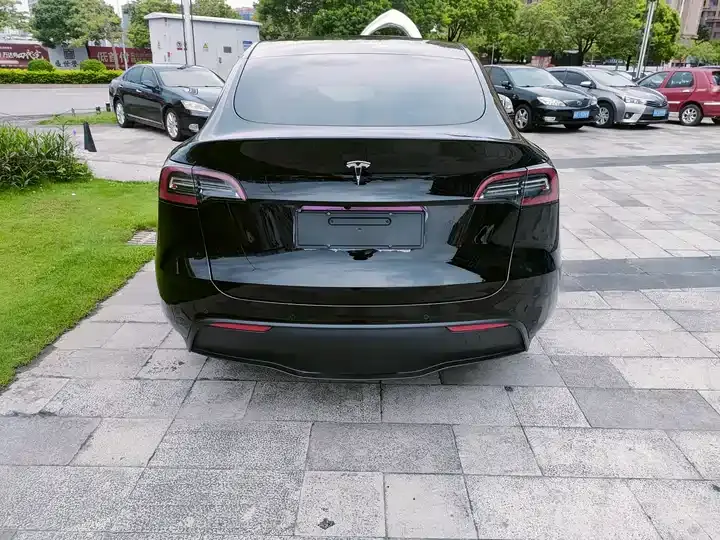 2022 Model Y Rear-Wheel Drive Edition 3