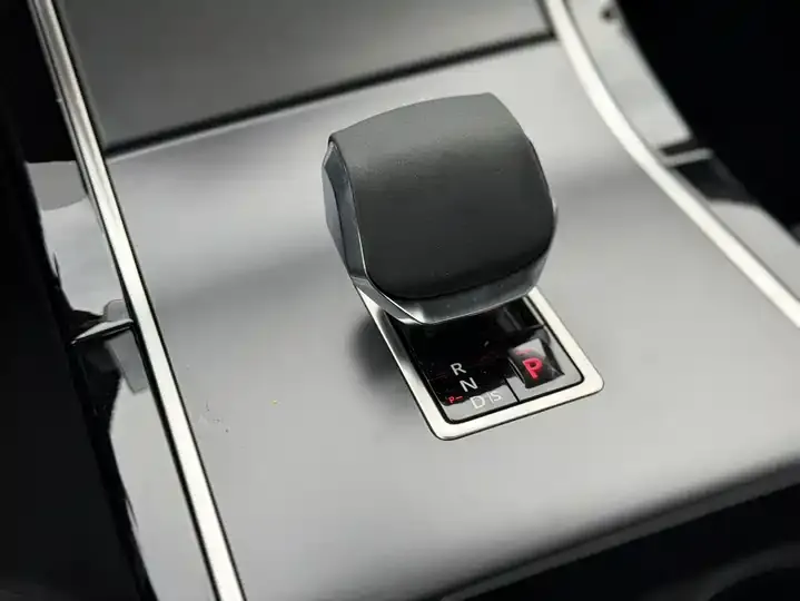 Range Rover Star Vein 2025 Dynamic SE 12