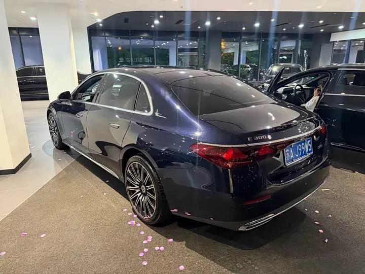 Mercedes Benz E Class 2024 E 300 L Luxury Model 4