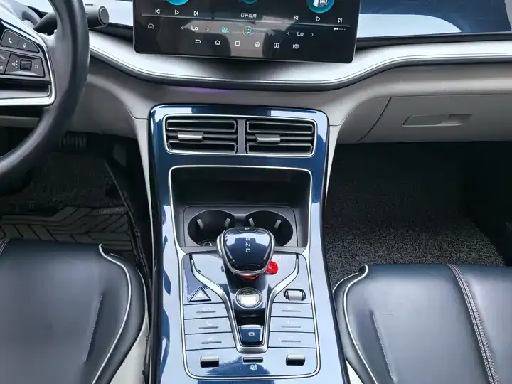 Qin PLUS 2021 EV 500KM Honorable Model 10