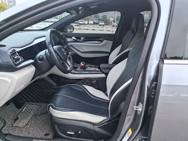 Qin PLUS 2021 EV 500KM Honorable Model 4