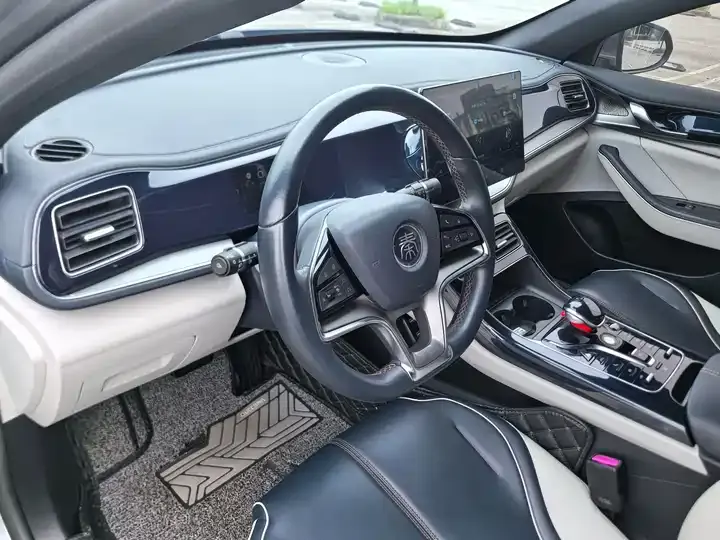 Qin PLUS 2021 EV 500KM Honorable Model 5