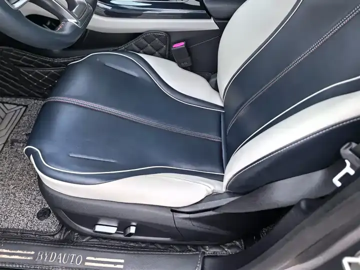 Qin PLUS 2021 EV 500KM Honorable Model 9