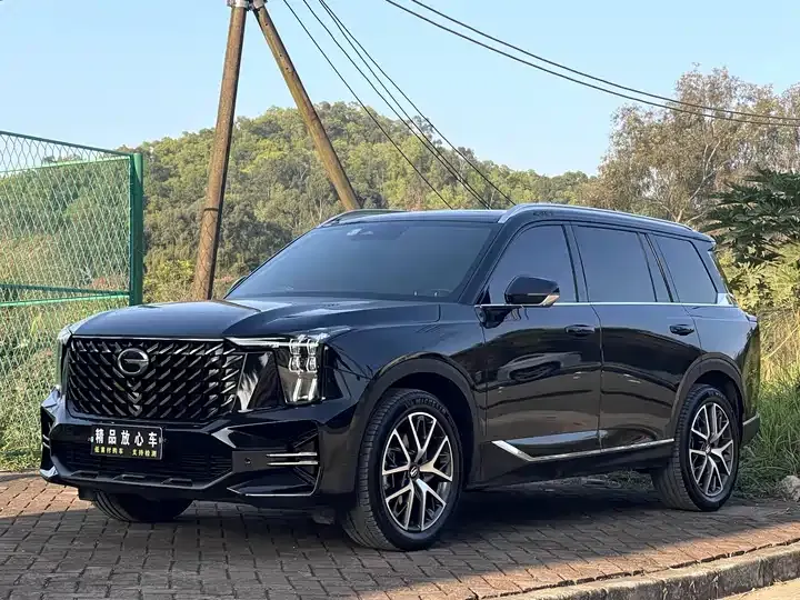 Open image lightbox: Chuanqi GS8 2022 Pilot Series 2.0TGDI Two-Drive Deluxe Zhilian Edition (Seven Seat)
