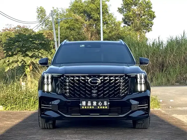 Chuanqi GS8 2022 Pilot Series 2.0TGDI Two-Drive Deluxe Zhilian Edition (Seven Seat) 2
