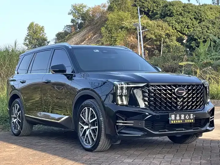 Chuanqi GS8 2022 Pilot Series 2.0TGDI Two-Drive Deluxe Zhilian Edition (Seven Seat) 3