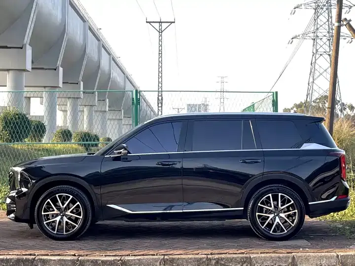 Chuanqi GS8 2022 Pilot Series 2.0TGDI Two-Drive Deluxe Zhilian Edition (Seven Seat) 4