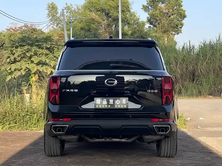 Chuanqi GS8 2022 Pilot Series 2.0TGDI Two-Drive Deluxe Zhilian Edition (Seven Seat) 6
