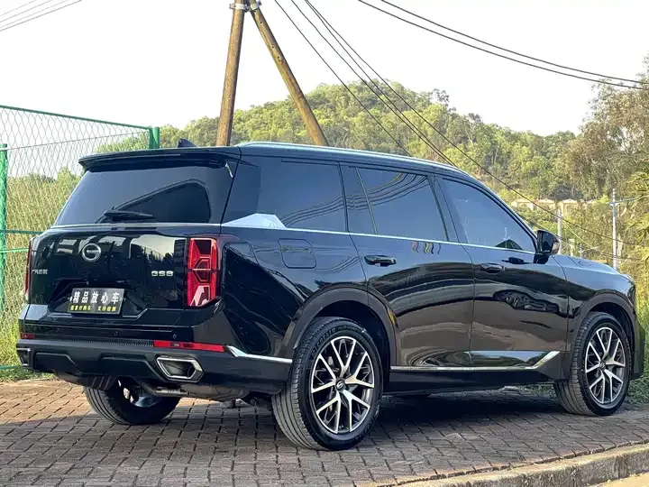 Chuanqi GS8 2022 Pilot Series 2.0TGDI Two-Drive Deluxe Zhilian Edition (Seven Seat) 7