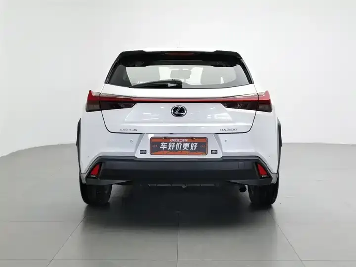 Lexus UX 2020 200 Special Edition 4