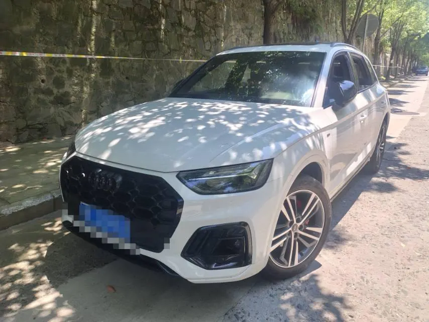 Audi 2024 Q5L 2.0TFSI 40TFSI luxury dynamic automatic - View 1