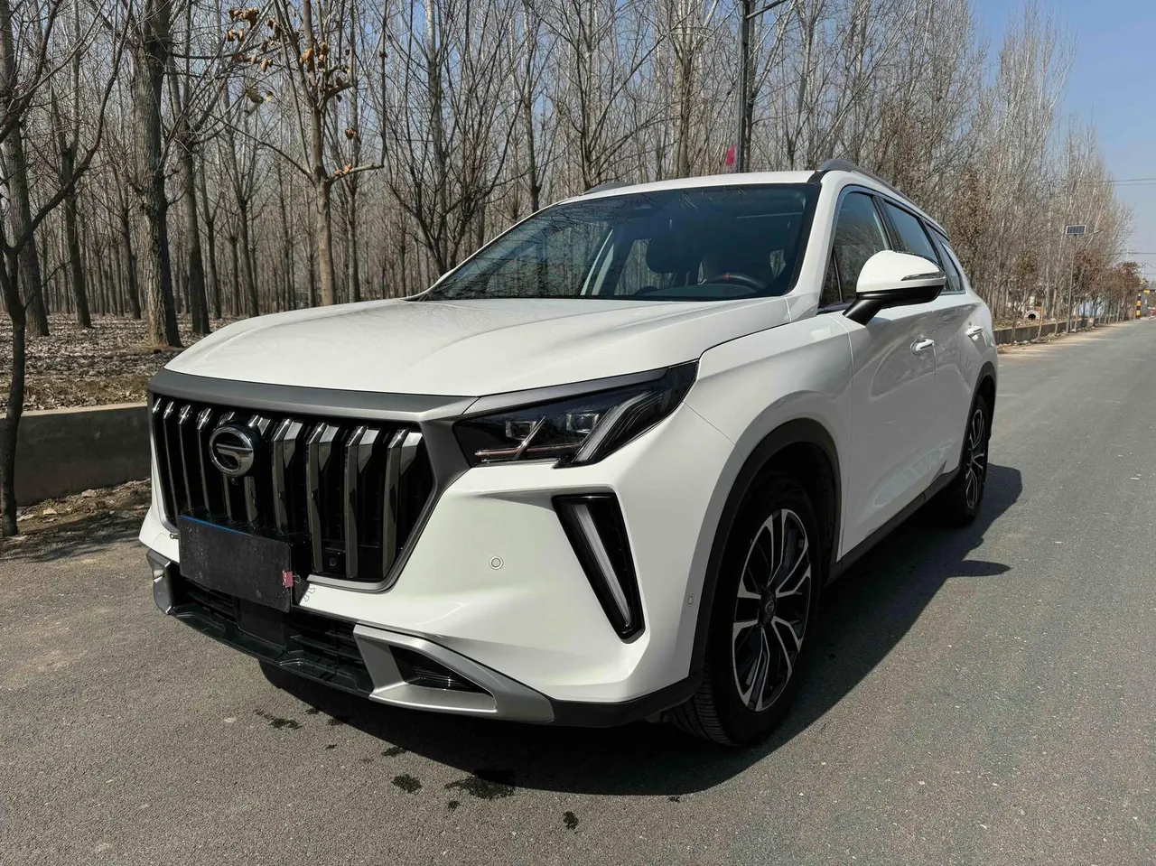 Chuanqi 2023 GS4 PLUS 2.0T 390T Nebula Edition Automatic Gear - View 1