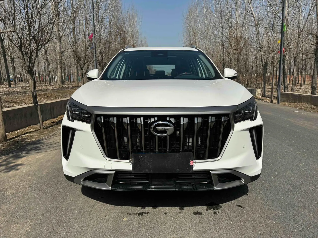 Chuanqi 2023 GS4 PLUS 2.0T 390T Nebula Edition Automatic Gear 2
