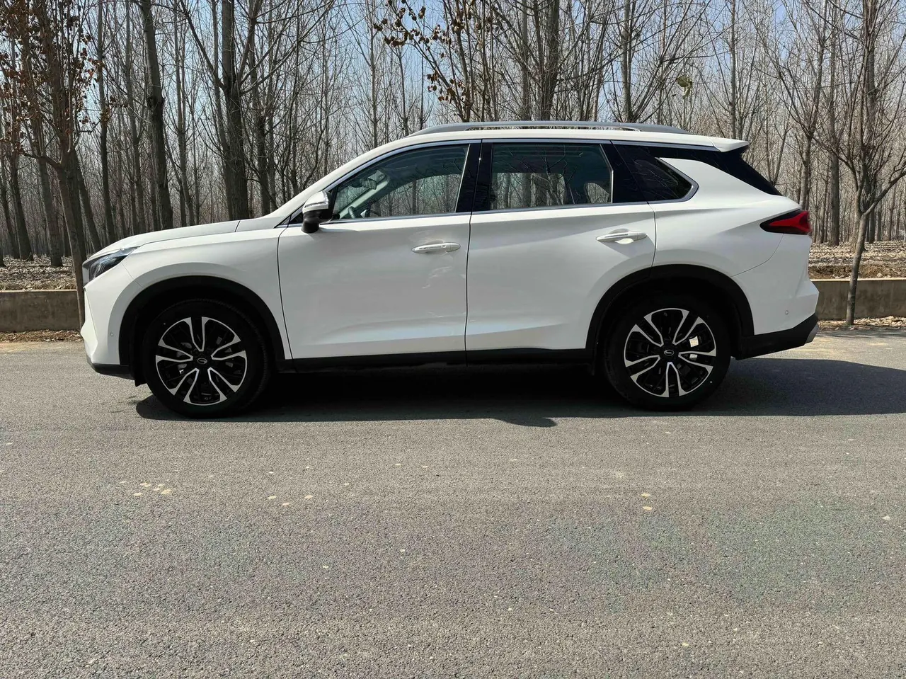 Chuanqi 2023 GS4 PLUS 2.0T 390T Nebula Edition Automatic Gear 4