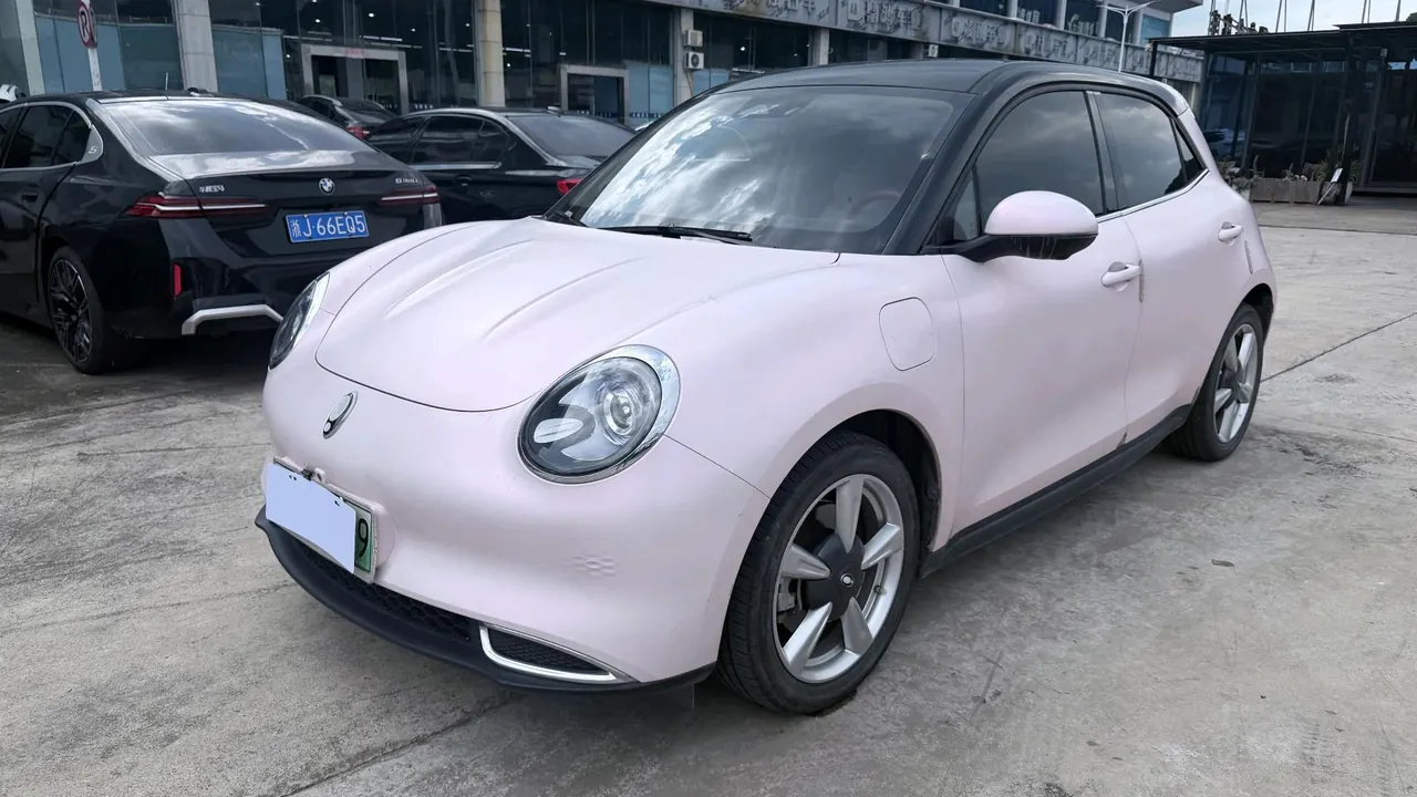Ora 2023 Good Cat 401km Standard Endurance Luxury Lithium Iron Phosphate Automatic Gear - View 1
