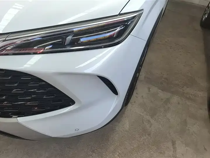 Song L DM-i 2024 112km Leading Model 5
