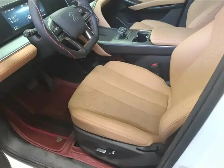 Song L DM-i 2024 112km Leading Model 9