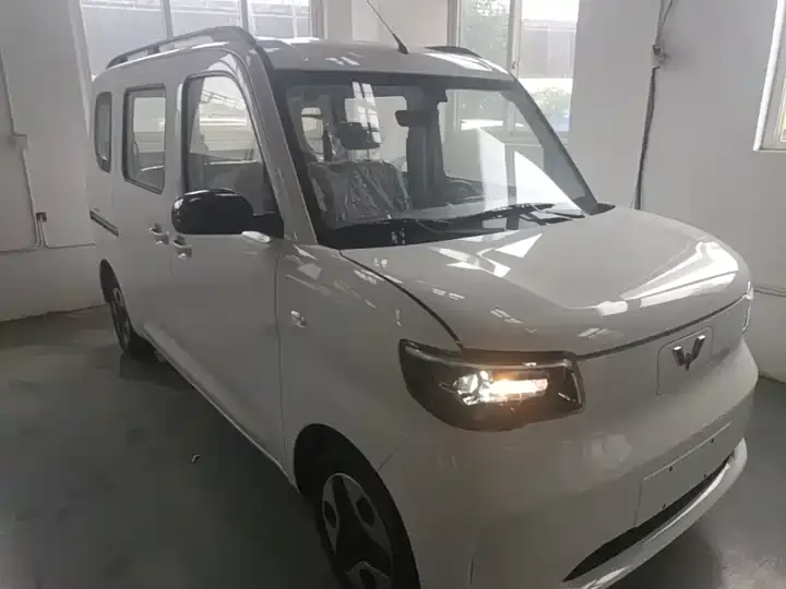 Wuling light new energy 2025 305km aggressive 4