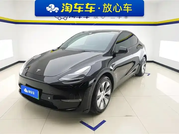Model Y 2021 Standard Endurance Rear Drive Edition - View 1