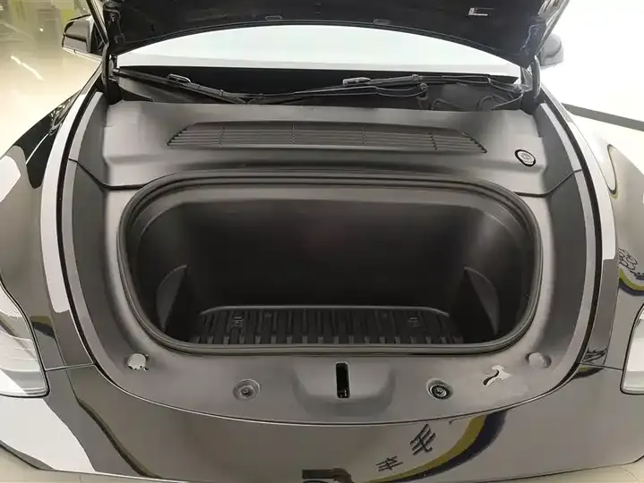 Model Y 2021 Standard Endurance Rear Drive Edition 10