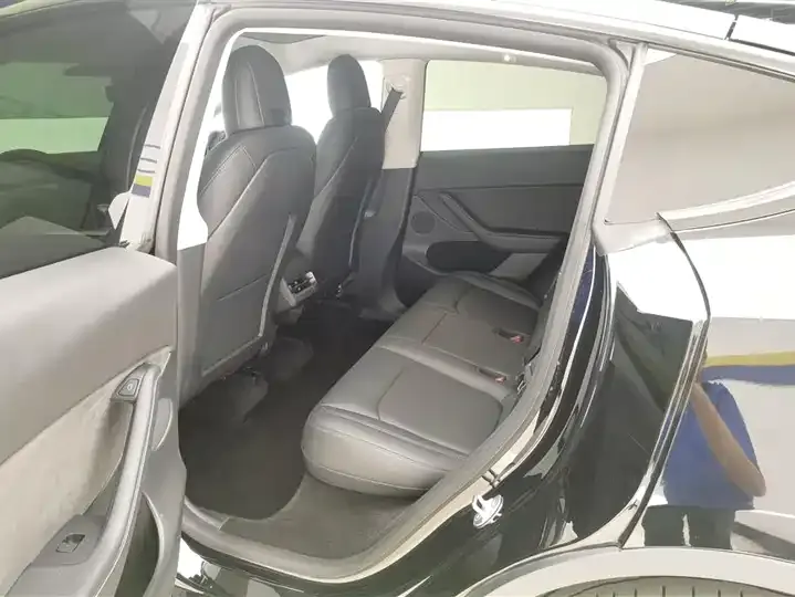 Model Y 2021 Standard Endurance Rear Drive Edition 11