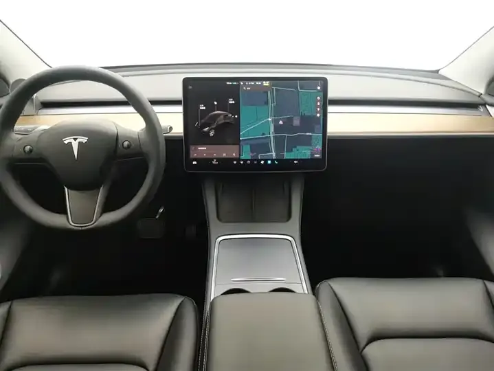 Model Y 2021 Standard Endurance Rear Drive Edition 12