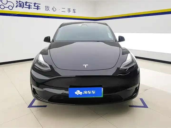 Model Y 2021 Standard Endurance Rear Drive Edition 2