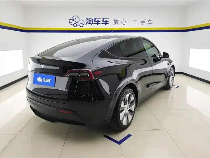 Model Y 2021 Standard Endurance Rear Drive Edition 3