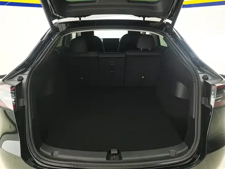 Model Y 2021 Standard Endurance Rear Drive Edition 4