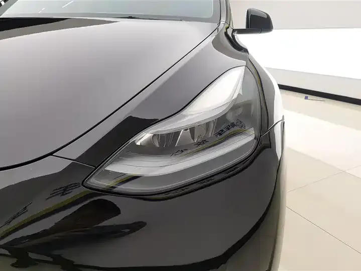 Model Y 2021 Standard Endurance Rear Drive Edition 5