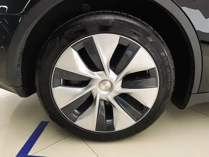 Model Y 2021 Standard Endurance Rear Drive Edition 6