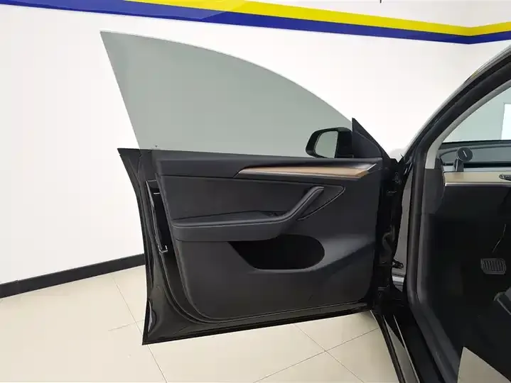 Model Y 2021 Standard Endurance Rear Drive Edition 7