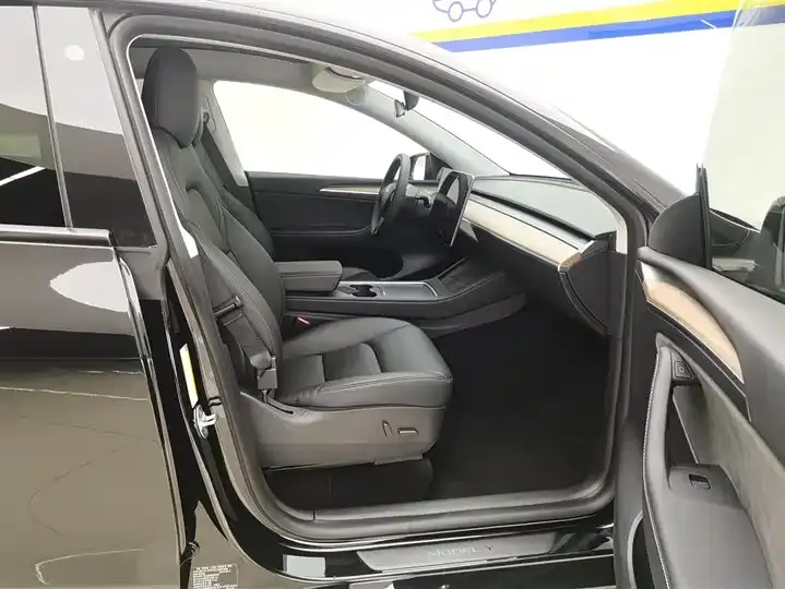Model Y 2021 Standard Endurance Rear Drive Edition 8