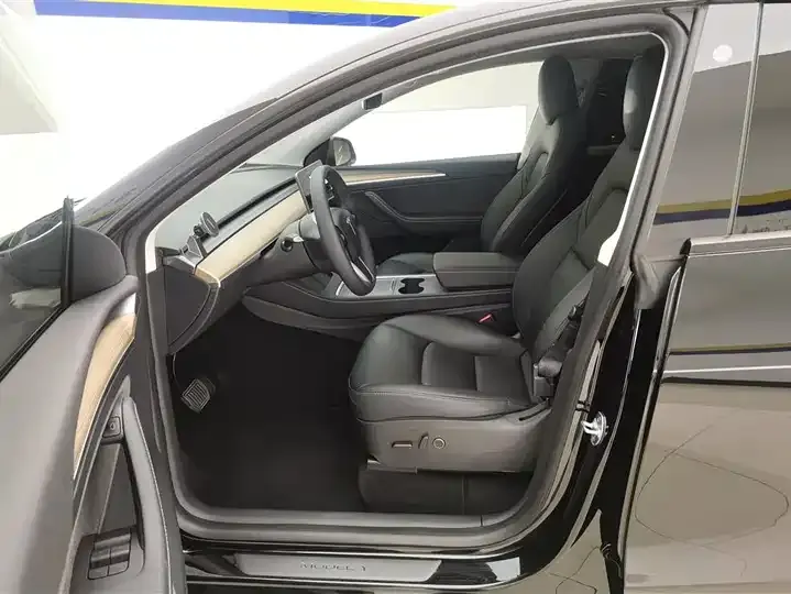 Model Y 2021 Standard Endurance Rear Drive Edition 9