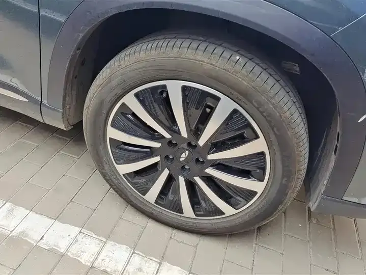 Fengyun T8 2025 1.5T 130km Premium Edition 5 6
