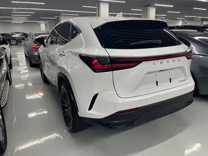 Lexus NX 2026 200 stunning limited edition 10