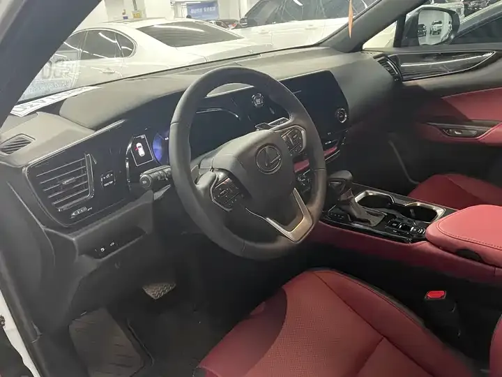Lexus NX 2026 200 stunning limited edition 12