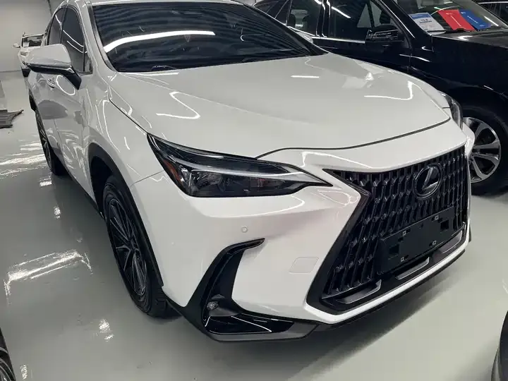 Lexus NX 2026 200 stunning limited edition 2