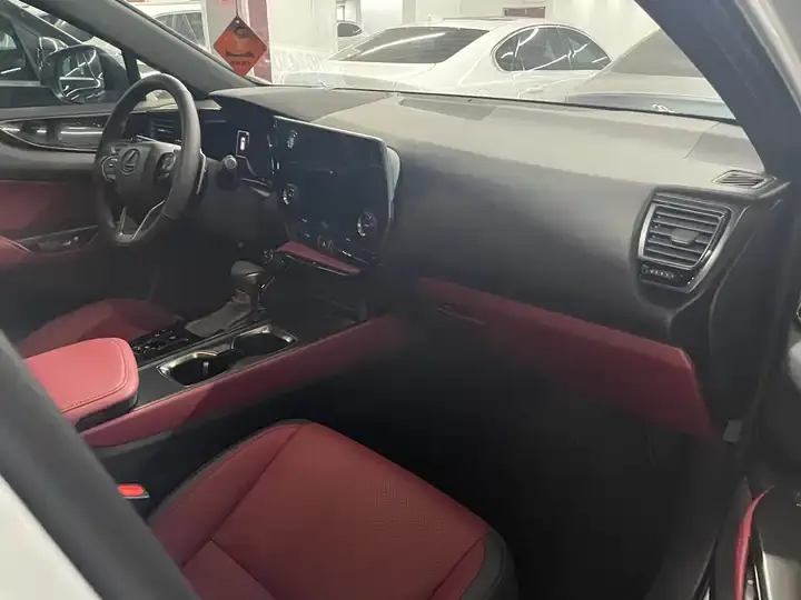 Lexus NX 2026 200 stunning limited edition 4