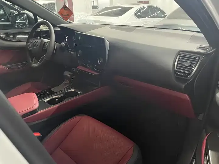 Lexus NX 2026 200 stunning limited edition 5