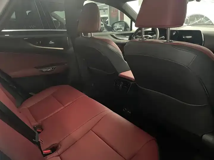 Lexus NX 2026 200 stunning limited edition 6