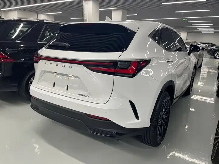 Lexus NX 2026 200 stunning limited edition 8