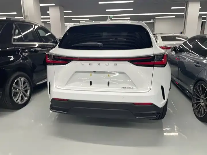Lexus NX 2026 200 stunning limited edition 9