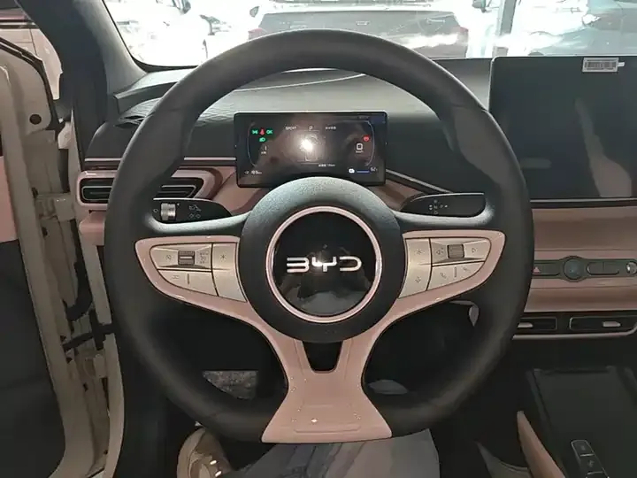 Seagull 2025 Smart Driving Edition 305km Vital Edition 11