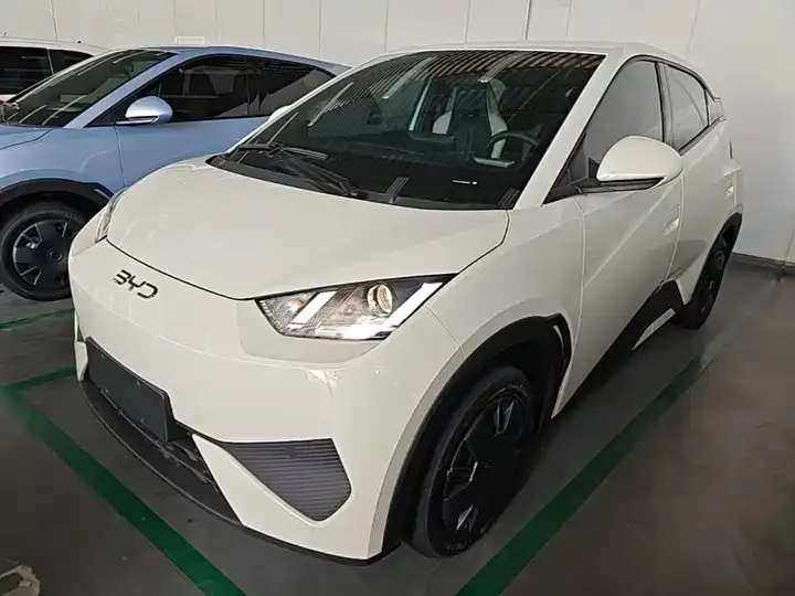 Seagull 2025 Smart Driving Edition 305km Vital Edition 2