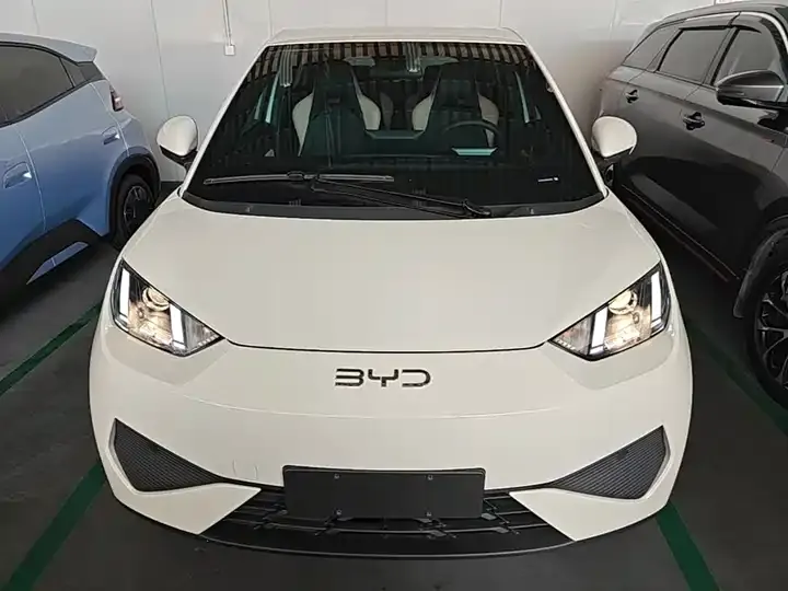 Seagull 2025 Smart Driving Edition 305km Vital Edition 3