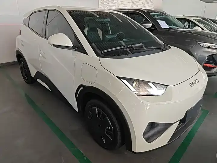 Seagull 2025 Smart Driving Edition 305km Vital Edition 4