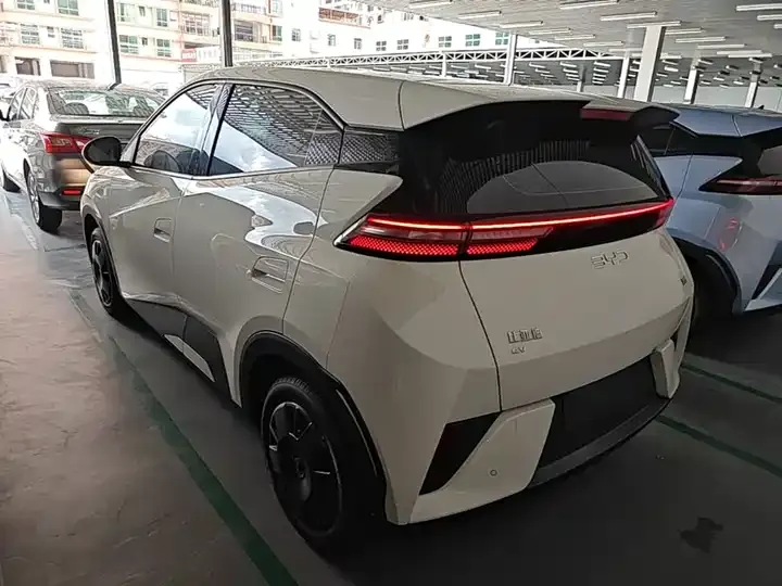Seagull 2025 Smart Driving Edition 305km Vital Edition 5