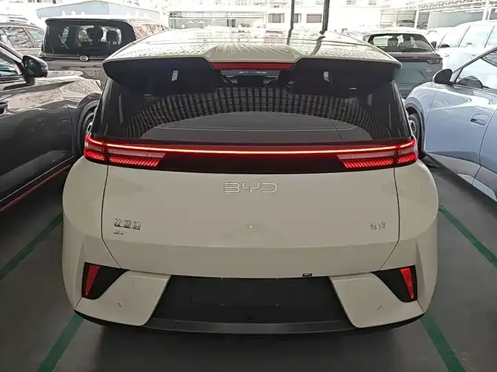Seagull 2025 Smart Driving Edition 305km Vital Edition 6