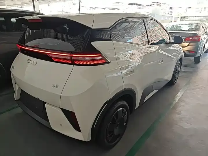 Seagull 2025 Smart Driving Edition 305km Vital Edition 7